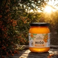 miod-z-rokitnikiem-naturalny
