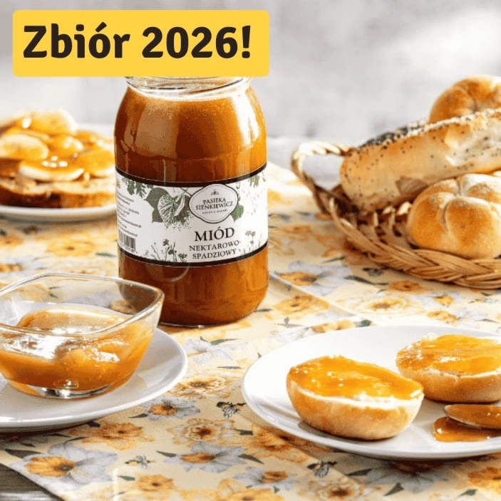 Zbiór 2026 – napis na górze (5).png